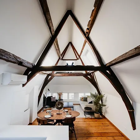 Gorgeous Duplex In Old Centre Anversa