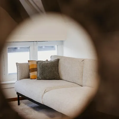 Gorgeous Duplex In Old Centre Anversa