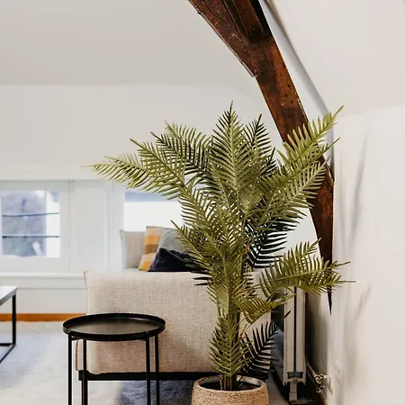 Gorgeous Duplex In Old Centre *