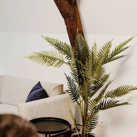 Gorgeous Duplex In Old Centre Apartment Antwerp