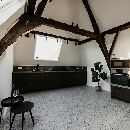 Gorgeous Duplex In Old Centre Apartment *