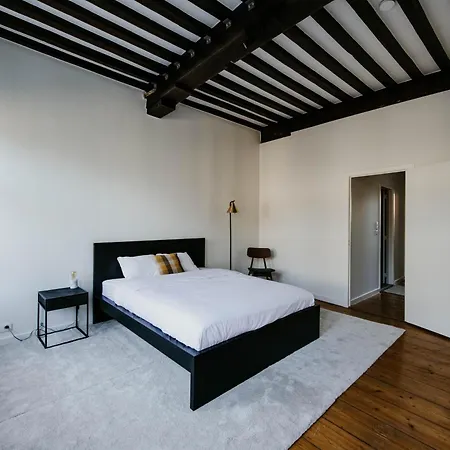 Gorgeous Duplex In Old Centre Apartment Antwerp